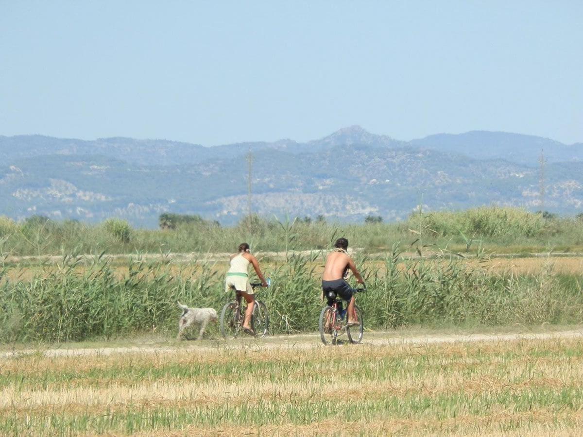 Holiday home Navarro1 *